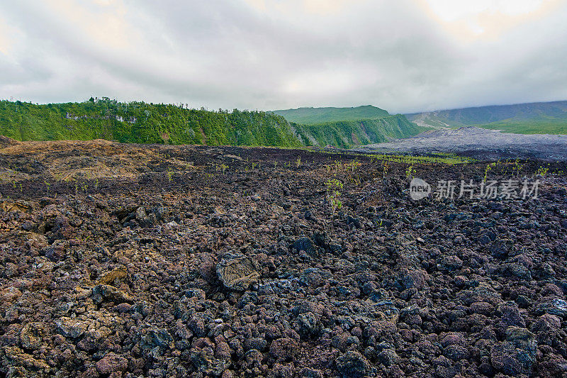 Piton de la Fournaise 2007 colade。